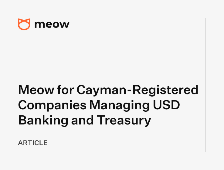Meow for Cayman-Registered Companies Managing USD Banking and Treasury